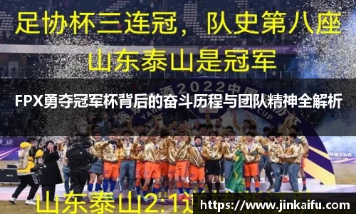 FPX勇夺冠军杯背后的奋斗历程与团队精神全解析